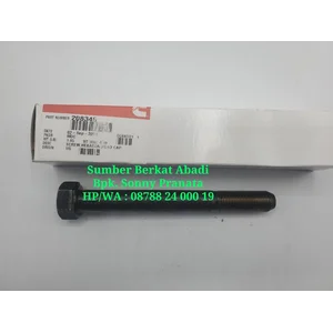 CUMMINS 208346 HEXAGONAL HEAD CAP SCREW