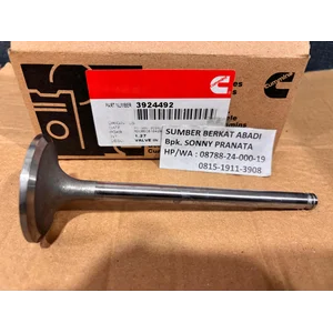 CUMMINS 3924492 3802463 INTAKE VALVE 3915506 3902253