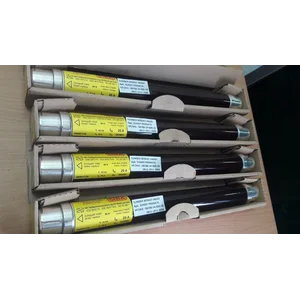 SIBA 20A FUSE 20 A 10/24kv item number 3000613.20 - GENUINE GERMANY