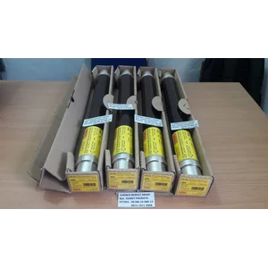SIBA 20A FUSE 20 A 10/24kv item number 3000613.20 - GENUINE GERMANY