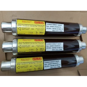 FUSE SIBA 100A 6/12kV Item Number 3001213.100
