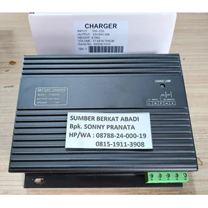 BATTERY CHARGER ZH-CH2810A CH-2810A CH 2810A DUAL OUTPUT 12V/24V 10A 1P
