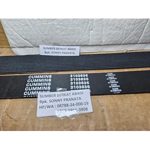 CUMMINS 3103836 V-BELT 3100189 FAN BELT 12PK2291 V-BELT 12PK 2291 FAN BELT 12 PK 2291 12-PK-2291 12PK-2291 - ISX ISX15 ISZ13 QSX11.9
