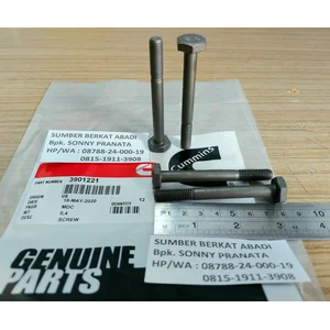 CUMMINS 3901221 HEXAGON HEAD CAP SREW M11 QSM11