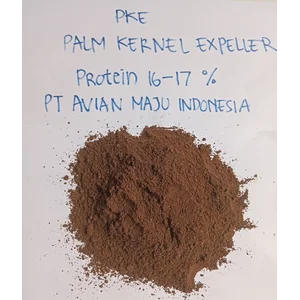 PKE BUNGKIL SAWIT PROTEIN 15-17