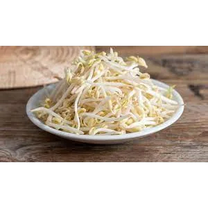 Toge Lokal Standar kualitas terbaik fresh per kilogram