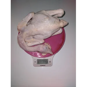 Daging Ayam Potong Segar Fresh