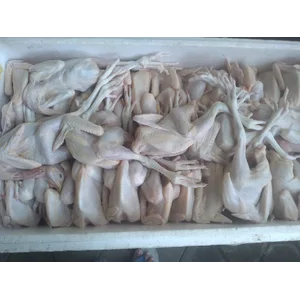 Daging Ayam Potong Frozen Segar