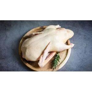 Daging bebek potong 1 ekor