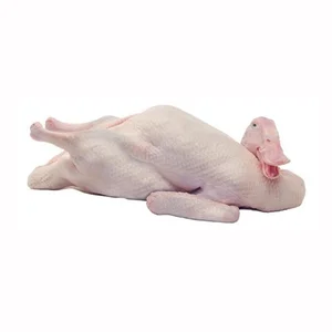 Daging bebek frozen 1 ekor