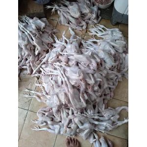 Bebek Karkas Fresh bobot 1.5 kg