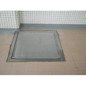 Gas Spring Hatch Door