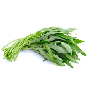 Kangkung Sayuran Segar per ikat