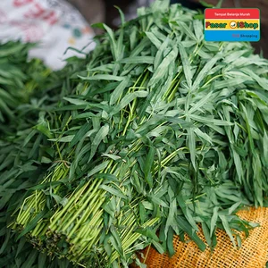 Daun Singkong Sayuran Segar per ikat