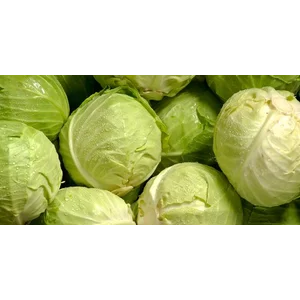 Kol Sayuran Segar per KG
