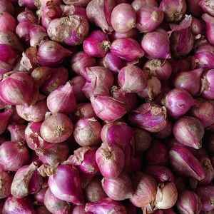 Bawang Merah Sayuran Segar per KG