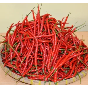 Cabe Merah Kriting Sayuran Segar per KG