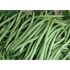 Buncis Sayuran Segar per kg