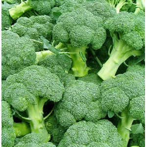 Brokoli Sayuran Segar per kg