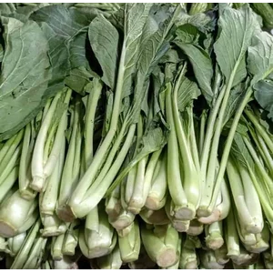 Sawi Hijau Sayuran Segar per kg