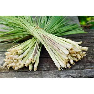 Sereh Rempah Rempah Bumbu Masak lainnya
