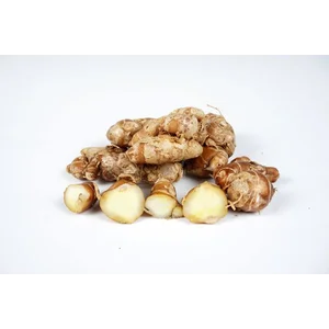 Kencur Rempah Rempah Bumbu Masak lainnya