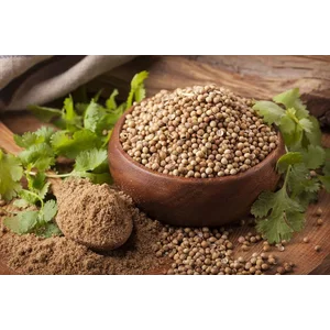 KETUMBAR BUTIRAN UKURAN PER KG