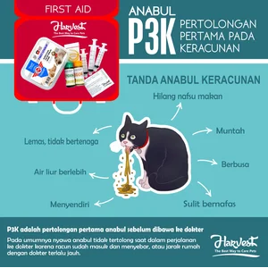 Obat mencret diare muntah keracunan kucing anjing penawar racun anti racun HARVEST P3K 1 box