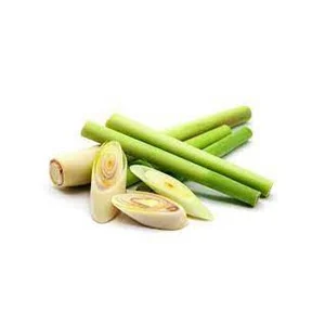 Daun Sereh Bumbu Masak Lainnya