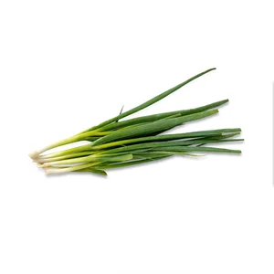 Sayuran Segar Bawang Daun 1000g