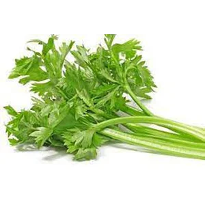 Daun Seledri Bumbu Masak Lainnya