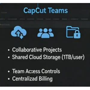 Jasa IT Support - Capcut Teams