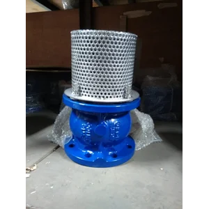 Foot Valve Cast Iron PN 16