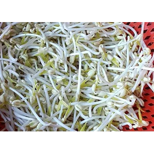 Bean Sprouts (unit 100 grams)