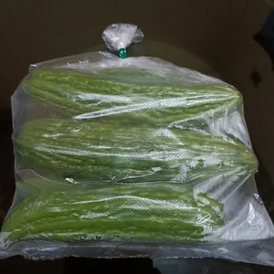 Bitter Melon (unit 100 gram)