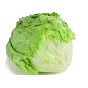 Lettuce Head (unit in pcs)