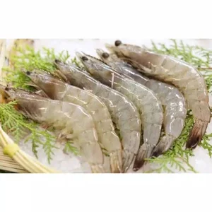 Udang Sedang (Satuan 100 gr)