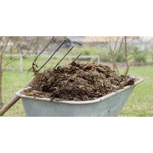 Pupuk Kandang lokal penyubur tanaman