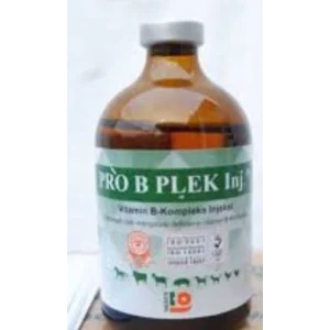Suplemen dan vitamin Pro B Plek Injeksi 100 ml