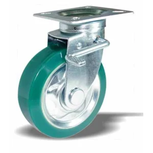 ENDO CASTOR