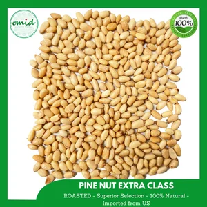 Kacang Pinus Mentah Impor Utuh