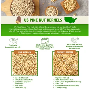 Kacang Pinus Mentah Impor Utuh