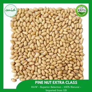 Kacang Pinus Mentah Impor Utuh