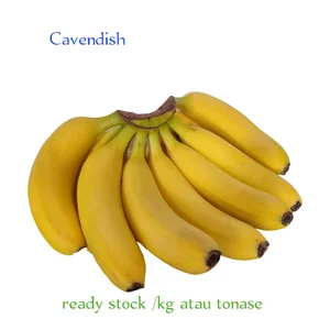 Pisang ambon grade a terbaik