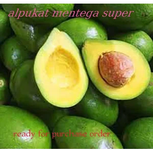 Buah segar  Buah alpukat super grade A