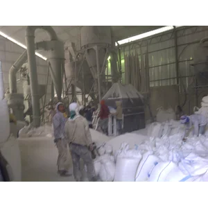Dolomite Powder Super Dolomite 50 kg atau 1 ton