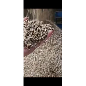 Wood chips Biomassa 2 Cm