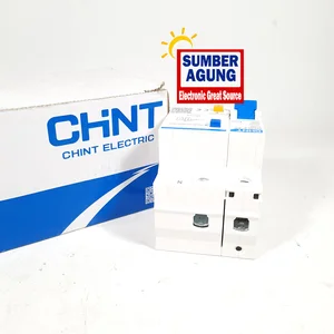 Chint ELCB 1P+N 50 Ampere Residual Current Circuit Breaker (RCBO) NXBLE63
