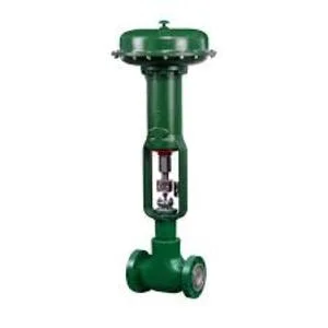 Control Valve / Fisher D Control Valve