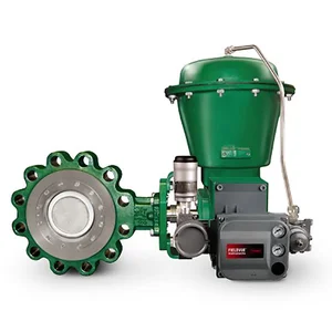Fisher A11 High Performance Butterfly Valve